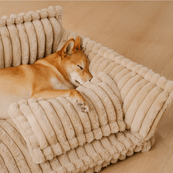 Furely Orthopedic Cat And Dog Sofa Bed